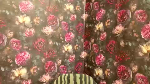 Snapshot of ty_lerdavid chatting on 12.20.25 TylerDavid online show from 12.20.25