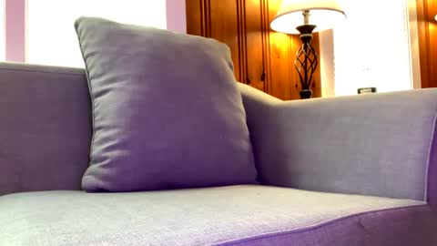 Snapshot of tylersands chatting on 02.07.25 Tyler Sands online show from 02.07.25