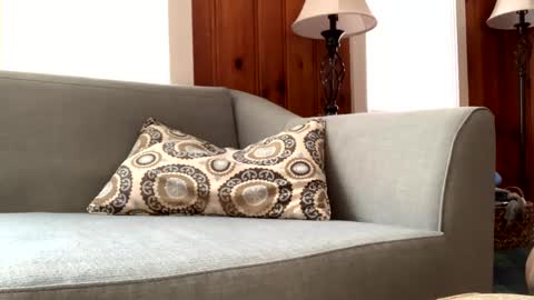 Snapshot of tylersands chatting on 02.11.25 Tyler Sands online show from 02.11.25