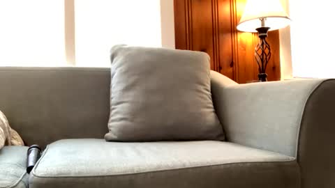 Snapshot of tylersands chatting on 02.22.25 Tyler Sands online show from 02.22.25