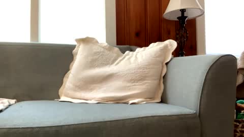 Snapshot of tylersands chatting on 03.02.25 Tyler Sands online show from 03.02.25