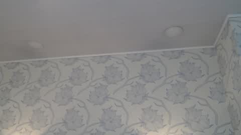 Snapshot of tyrafox_ chatting on 12.05.25 tyrafox online show from 12.05.25