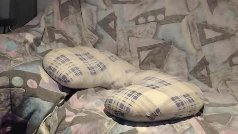 Snapshot of tyson2525 chatting on 11.09.25 Helena and Tyson online show from 11.09.25