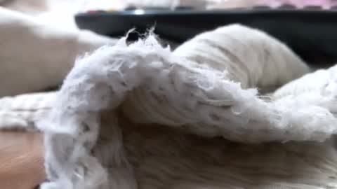 Gokuymilk online show from 06.19.26