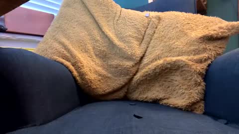 ukclive online show from 02.05.25