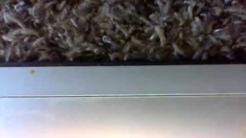 Snapshot of uncut_papi1989 chatting on 01.24.25 tele kuzhbuzh online show from 01.24.25