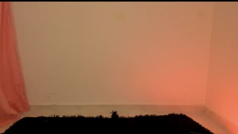 new INSTA   online show from 12.29.24