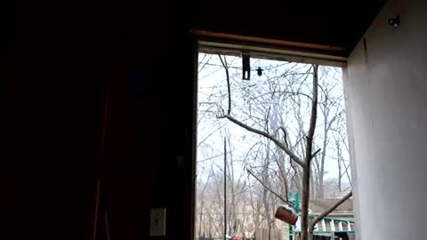 Snapshot of upforanything27 chatting on 12.25.24 upforanything27 online show from 12.25.24