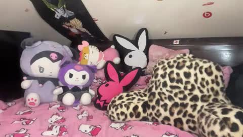urlittlekittylana online show from 01.14.26