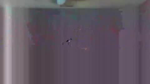 urls2025 online show from 11.23.25