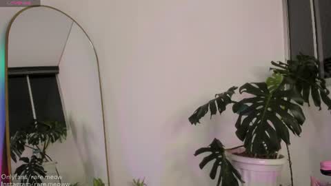    online show from 08.01.26