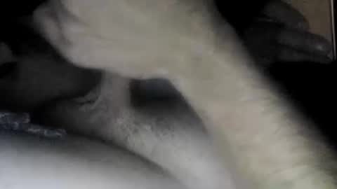 Slave bitch online show from 04.22.26