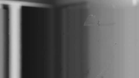 Snapshot of user2f chatting on 12.04.25 steve online show from 12.04.25