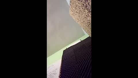 v3403454 online show from 12.16.25