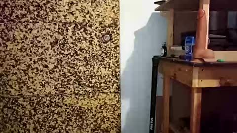 v3403454 online show from 12.21.25