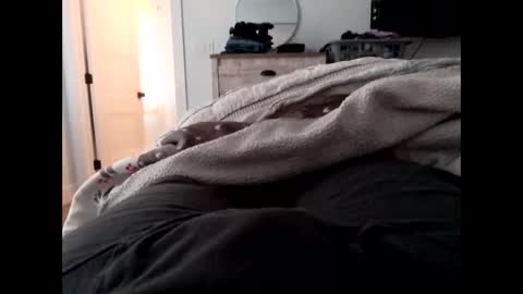 Snapshot of vader1788 chatting on 11.17.25 vader1788 online show from 11.17.25