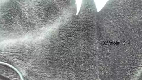 Vaiolet1314 online show from 01.26.25