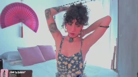      online show from 05.05.26