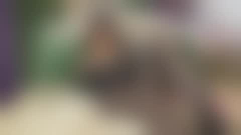 Vanessa online show from 09.25.25