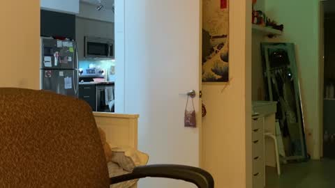 Vanessa  online show from 01.05.25