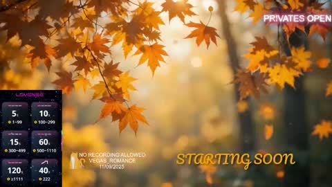 vegas_romance online show from 11.09.25