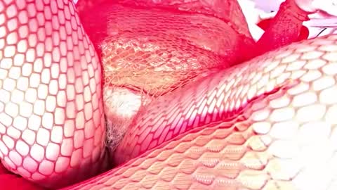 Snapshot of veheveun chatting on 12.18.25 Vehe Veun online show from 12.18.25