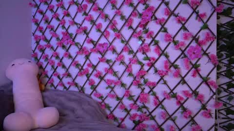 Polly online show from 11.07.25