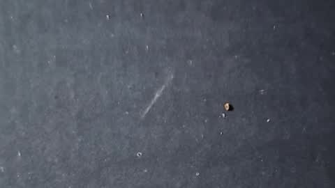 Snapshot of velvetsolez chatting on 03.22.26 velvetsolez online show from 03.22.26