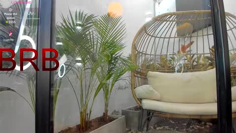 VENUS online show from 02.01.26