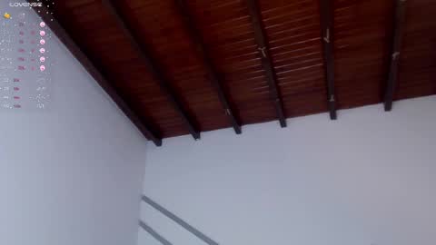 Snapshot of venusevans1 chatting on 12.28.24 Venus Evans online show from 12.28.24