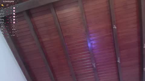 Snapshot of venusevans1 chatting on 01.21.25 Venus Evans online show from 01.21.25