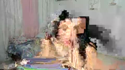 venus online show from 11.30.25