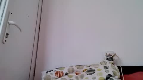 Vera online show from 03.08.26