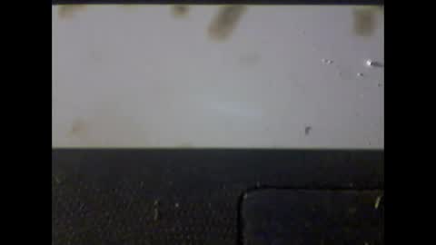 Im DanielVerdo  25 years old Lets have Fun and just ask what wanne know   tnew anal bigock cum  slave  fullnaked online show from 03.01.25