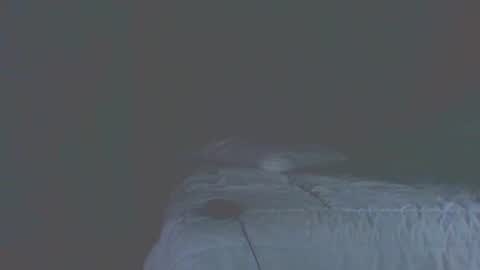 vergagolosa22 online show from 11.20.25