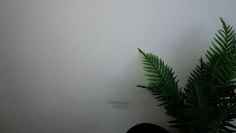 Ana online show from 09.30.25