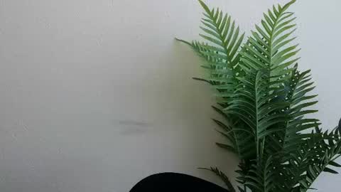 Ana online show from 07.04.26