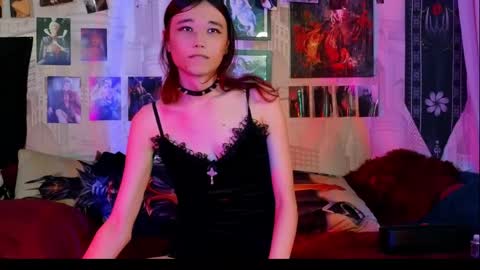 Snapshot of vetansenda chatting on 11.19.25 Emiel online show from 11.19.25