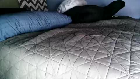 Snapshot of vexnew chatting on 11.02.25 Vexnew online show from 11.02.25