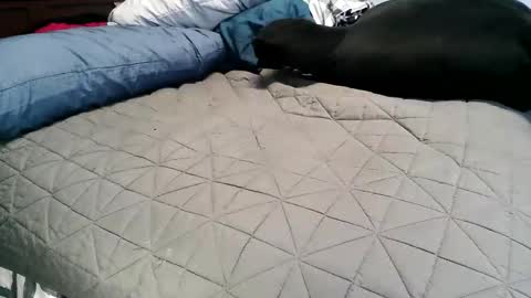 Snapshot of vexnew chatting on 11.04.25 Vexnew online show from 11.04.25