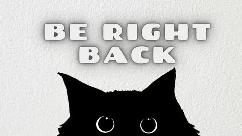 Anaya online show from 02.13.26