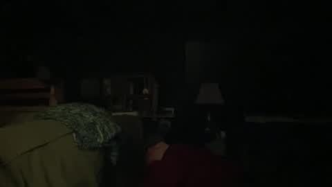 Snapshot of vibrantwhimsy chatting on 12.03.25 vibrantwhimsy online show from 12.03.25