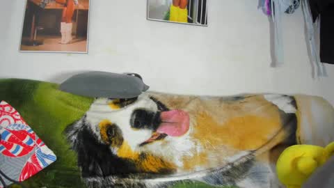 Snapshot of vicky_hotteei chatting on 02.18.25 vicky manuela online show from 02.18.25