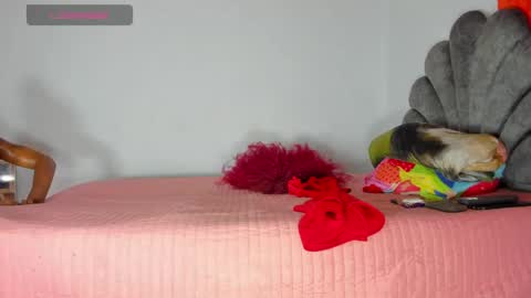 vicky manuela online show from 05.01.26