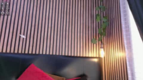 victorira online show from 10.21.25