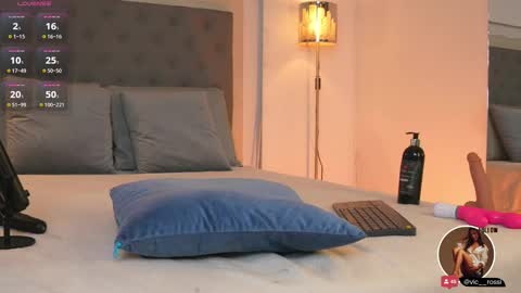 Snapshot of victoria__rossi chatting on 02.15.25 online show from 02.15.25