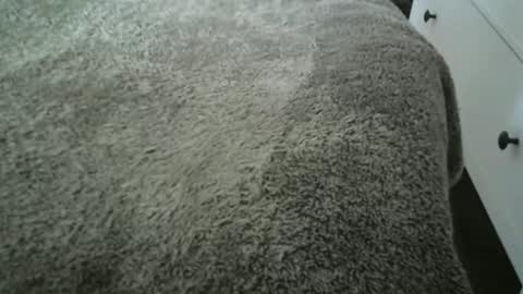 Vidalter online show from 11.20.25