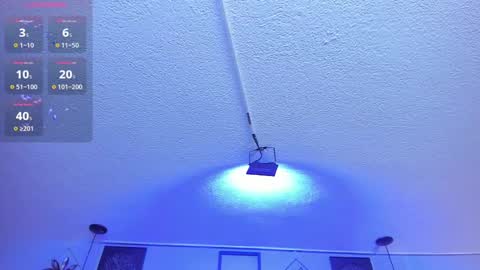 Viiolett online show from 02.24.25