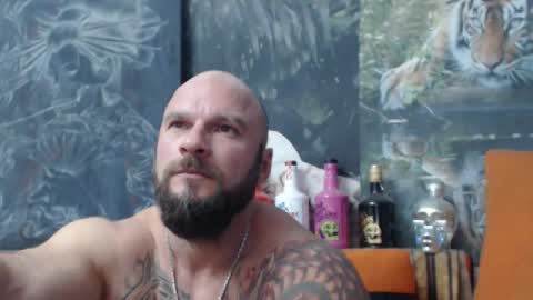 viking online show from 09.18.25