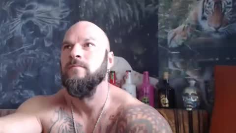 viking online show from 10.02.25